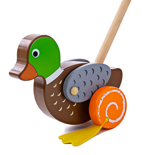 Duck Push Along - First Learning Play